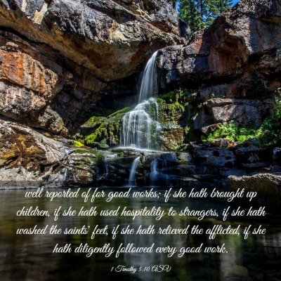 Picture 03 - 1 Timothy 5:10 ASV - well reported of for good works; if she hath - Bible Verse Picture