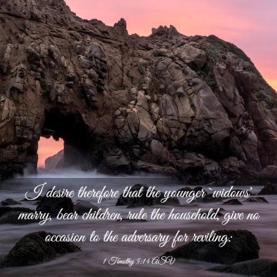 Picture 03 - 1 Timothy 5:14 ASV - I desire therefore that the younger `widows' - Bible Verse Picture