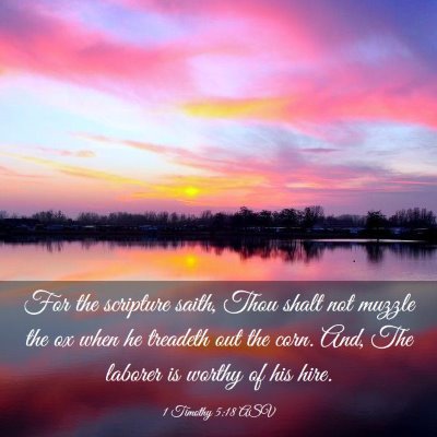 Picture 03 - 1 Timothy 5:18 ASV - For the scripture saith, Thou shalt not muzzle - Bible Verse Picture