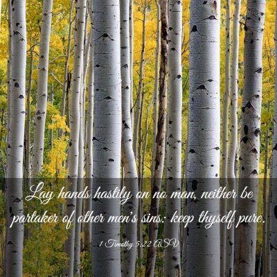 Picture 03 - 1 Timothy 5:22 ASV - Lay hands hastily on no man, neither be partaker - Bible Verse Picture