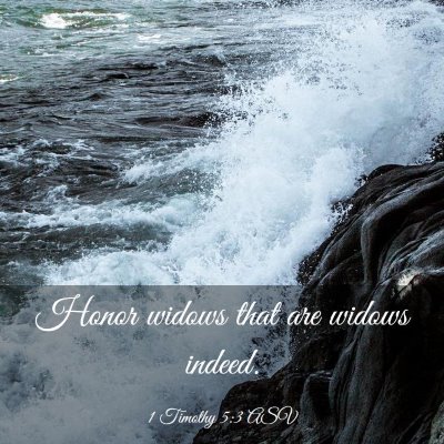 Picture 03 - 1 Timothy 5:3 ASV - Honor widows that are widows - Bible Verse Picture
