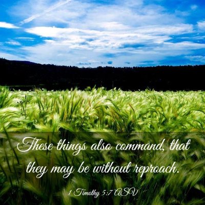 Picture 03 - 1 Timothy 5:7 ASV - These things also command, that they may be - Bible Verse Picture