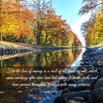 Picture 03 - 1 Timothy 6:10 ASV - For the love of money is a root of all kinds of - Bible Verse Picture