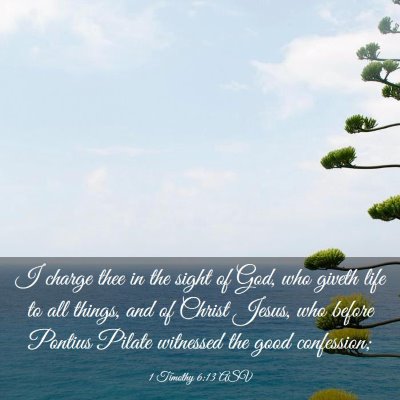 Picture 03 - 1 Timothy 6:13 ASV - I charge thee in the sight of God, who giveth - Bible Verse Picture