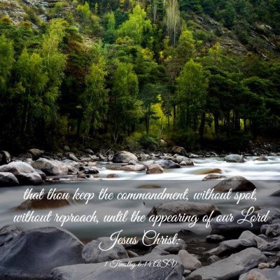 Picture 03 - 1 Timothy 6:14 ASV - that thou keep the commandment, without spot, - Bible Verse Picture