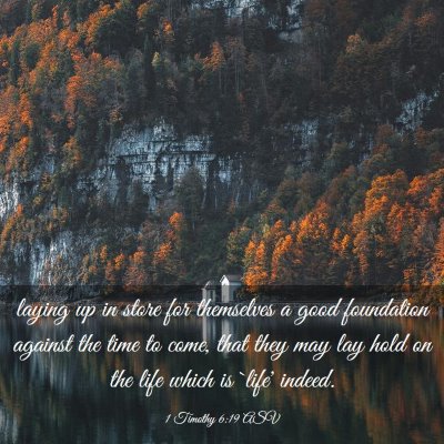 Picture 03 - 1 Timothy 6:19 ASV - laying up in store for themselves a good - Bible Verse Picture