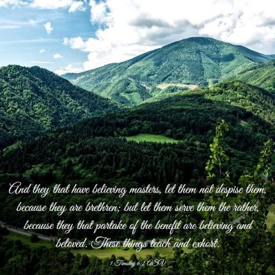 Picture 03 - 1 Timothy 6:2 ASV - And they that have believing masters, let them - Bible Verse Picture