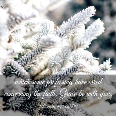 Picture 03 - 1 Timothy 6:21 ASV - which some professing have erred concerning the - Bible Verse Picture