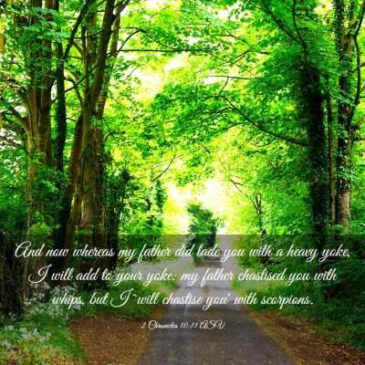 Picture 03 - 2 Chronicles 10:11 ASV - And now whereas my father did lade you with a - Bible Verse Picture