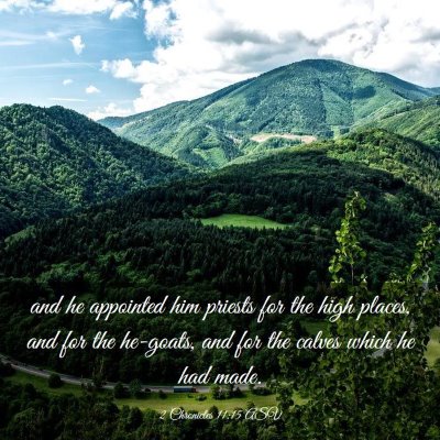 Picture 03 - 2 Chronicles 11:15 ASV - and he appointed him priests for the high places, - Bible Verse Picture
