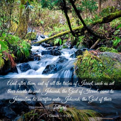 Picture 03 - 2 Chronicles 11:16 ASV - And after them, out of all the tribes of Israel, - Bible Verse Picture