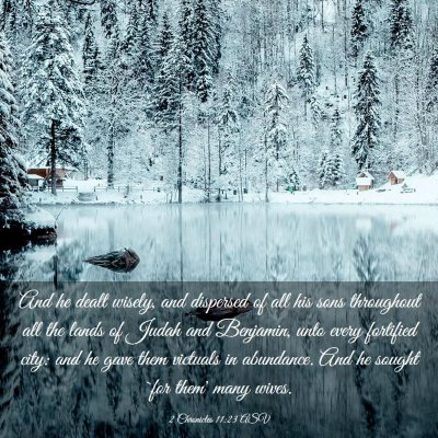 Picture 03 - 2 Chronicles 11:23 ASV - And he dealt wisely, and dispersed of all his - Bible Verse Picture