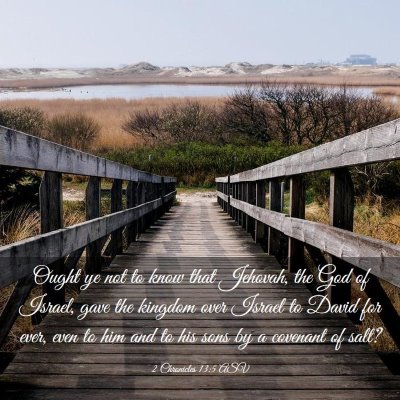 Picture 03 - 2 Chronicles 13:5 ASV - Ought ye not to know that Jehovah, the God of - Bible Verse Picture