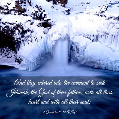 Picture 03 - 2 Chronicles 15:12 ASV - And they entered into the covenant to seek - Bible Verse Picture