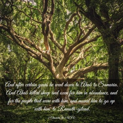 Picture 03 - 2 Chronicles 18:2 ASV - And after certain years he went down to Ahab to - Bible Verse Picture