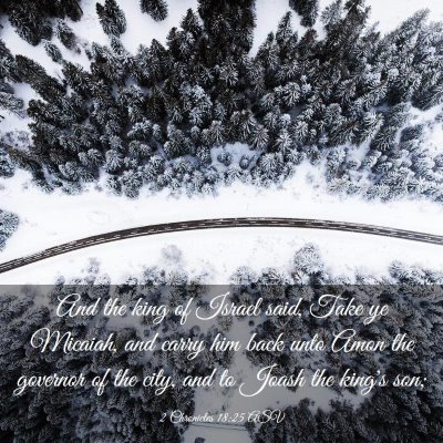 Picture 03 - 2 Chronicles 18:25 ASV - And the king of Israel said, Take ye Micaiah, and - Bible Verse Picture