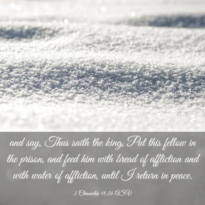 Picture 03 - 2 Chronicles 18:26 ASV - and say, Thus saith the king, Put this fellow in - Bible Verse Picture