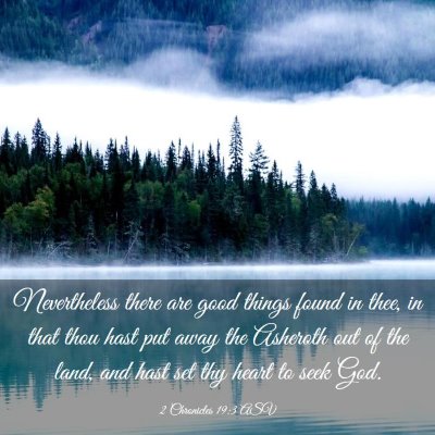 Picture 03 - 2 Chronicles 19:3 ASV - Nevertheless there are good things found in thee, - Bible Verse Picture