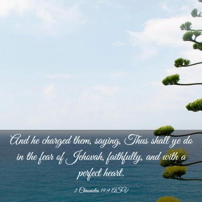 Picture 03 - 2 Chronicles 19:9 ASV - And he charged them, saying, Thus shall ye do in - Bible Verse Picture