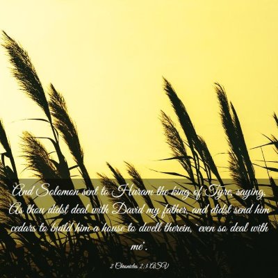 Picture 03 - 2 Chronicles 2:3 ASV - And Solomon sent to Huram the king of Tyre, - Bible Verse Picture