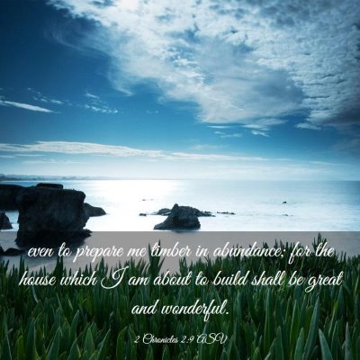 Picture 03 - 2 Chronicles 2:9 ASV - even to prepare me timber in abundance; for the - Bible Verse Picture