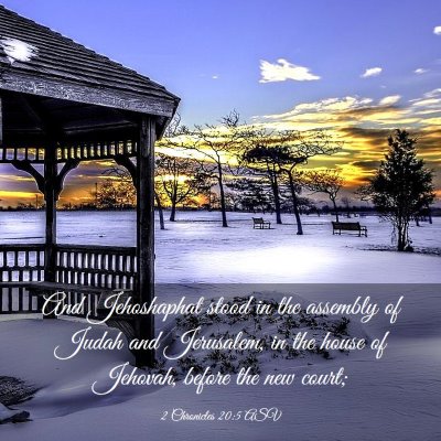 Picture 03 - 2 Chronicles 20:5 ASV - And Jehoshaphat stood in the assembly of Judah - Bible Verse Picture