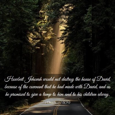 Picture 03 - 2 Chronicles 21:7 ASV - Howbeit Jehovah would not destroy the house of - Bible Verse Picture