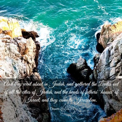 Picture 03 - 2 Chronicles 23:2 ASV - And they went about in Judah, and gathered the - Bible Verse Picture