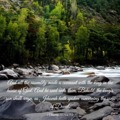 Picture 03 - 2 Chronicles 23:3 ASV - And all the assembly made a covenant with the - Bible Verse Picture