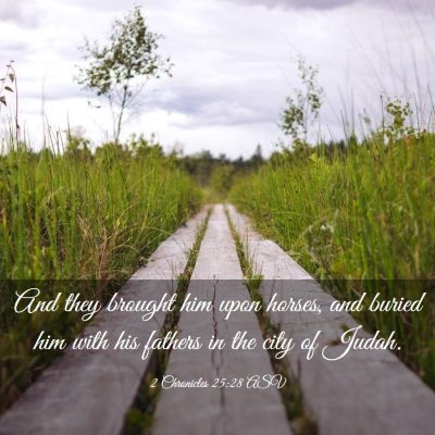 Picture 03 - 2 Chronicles 25:28 ASV - And they brought him upon horses, and buried him - Bible Verse Picture