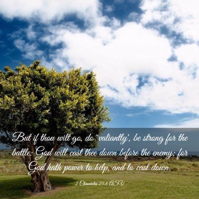 Picture 03 - 2 Chronicles 25:8 ASV - But if thou wilt go, do `valiantly', be strong - Bible Verse Picture