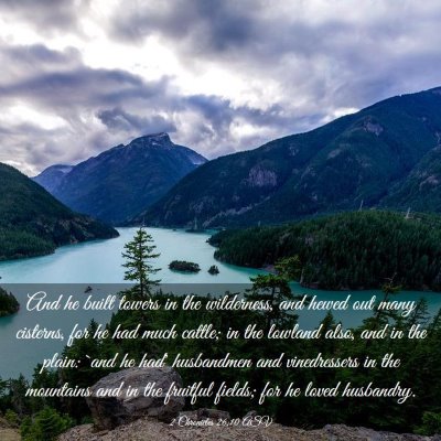 Picture 03 - 2 Chronicles 26:10 ASV - And he built towers in the wilderness, and hewed - Bible Verse Picture