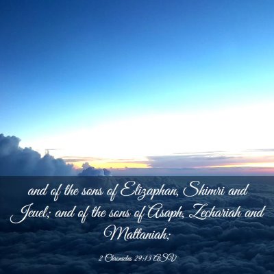 Picture 03 - 2 Chronicles 29:13 ASV - and of the sons of Elizaphan, Shimri and Jeuel; - Bible Verse Picture