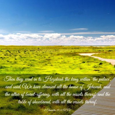 Picture 03 - 2 Chronicles 29:18 ASV - Then they went in to Hezekiah the king within - Bible Verse Picture