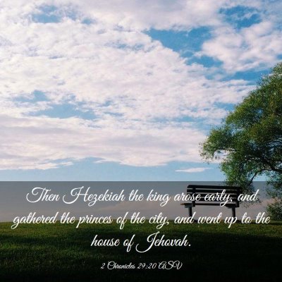 Picture 03 - 2 Chronicles 29:20 ASV - Then Hezekiah the king arose early, and gathered - Bible Verse Picture