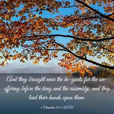 Picture 03 - 2 Chronicles 29:23 ASV - And they brought near the he-goats for the - Bible Verse Picture