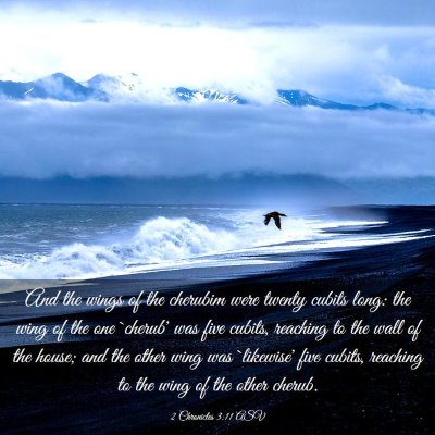 Picture 03 - 2 Chronicles 3:11 ASV - And the wings of the cherubim were twenty cubits - Bible Verse Picture