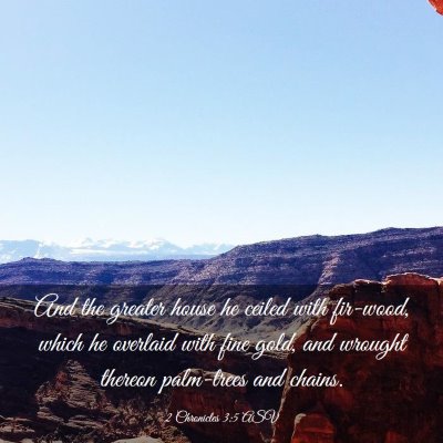 Picture 03 - 2 Chronicles 3:5 ASV - And the greater house he ceiled with fir-wood, - Bible Verse Picture
