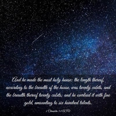 Picture 03 - 2 Chronicles 3:8 ASV - And he made the most holy house: the length - Bible Verse Picture