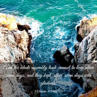Picture 03 - 2 Chronicles 30:23 ASV - And the whole assembly took counsel to keep other - Bible Verse Picture