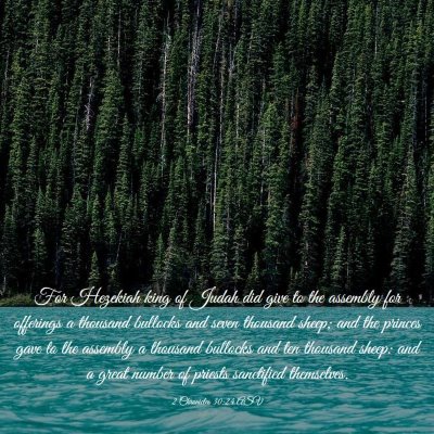 Picture 03 - 2 Chronicles 30:24 ASV - For Hezekiah king of Judah did give to the - Bible Verse Picture