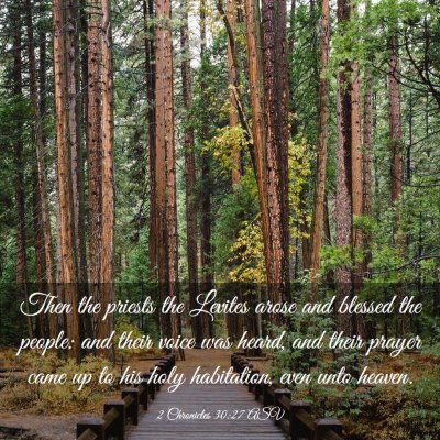 Picture 03 - 2 Chronicles 30:27 ASV - Then the priests the Levites arose and blessed - Bible Verse Picture