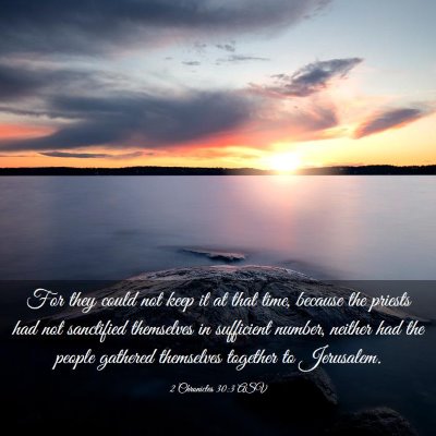 Picture 03 - 2 Chronicles 30:3 ASV - For they could not keep it at that time, because - Bible Verse Picture