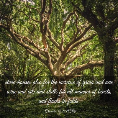 Picture 03 - 2 Chronicles 32:28 ASV - store-houses also for the increase of grain and - Bible Verse Picture
