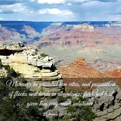 Picture 03 - 2 Chronicles 32:29 ASV - Moreover he provided him cities, and possessions - Bible Verse Picture