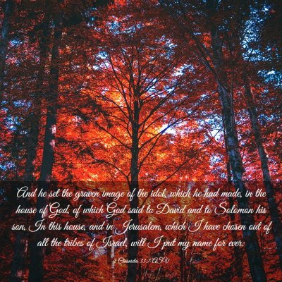 Picture 03 - 2 Chronicles 33:7 ASV - And he set the graven image of the idol, which he - Bible Verse Picture