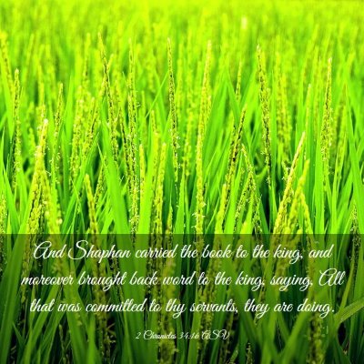 Picture 03 - 2 Chronicles 34:16 ASV - And Shaphan carried the book to the king, and - Bible Verse Picture