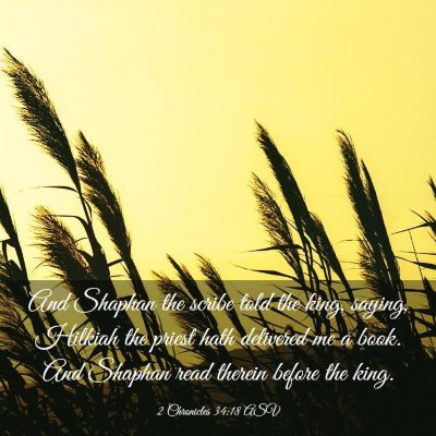 Picture 03 - 2 Chronicles 34:18 ASV - And Shaphan the scribe told the king, saying, - Bible Verse Picture