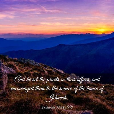 Picture 03 - 2 Chronicles 35:2 ASV - And he set the priests in their offices, and - Bible Verse Picture