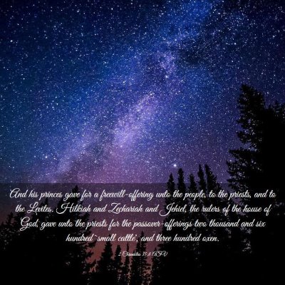 Picture 03 - 2 Chronicles 35:8 ASV - And his princes gave for a freewill-offering unto - Bible Verse Picture